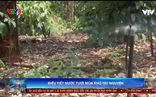 Tây Nguyên thích ứng với nắng hạn