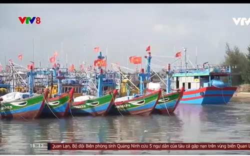 Ngư dân Quảng Ngãi nói không với vi phạm khai thác IUU