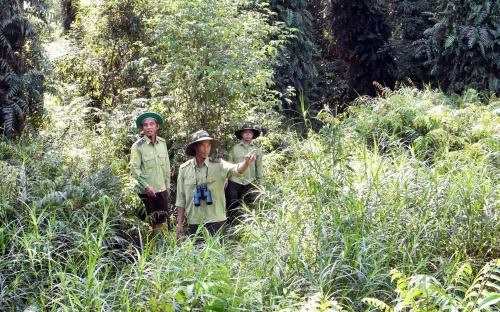 Gần 4.000 ha rừng Cà Mau nguy cơ cháy cực kỳ nguy hiểm