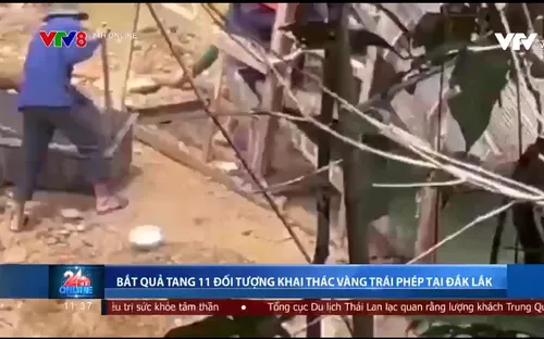 Bắt quả tang 11 đối tượng khai thác vàng trái phép tại Đắk Lắk