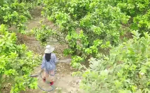 Điện Biên xây dựng nhiều phương án giảm nghèo nhanh và hiệu quả