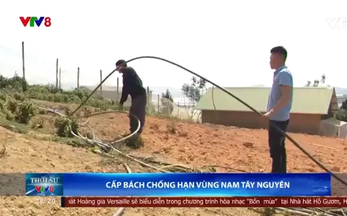 Cấp bách chống hạn vùng Nam Tây Nguyên