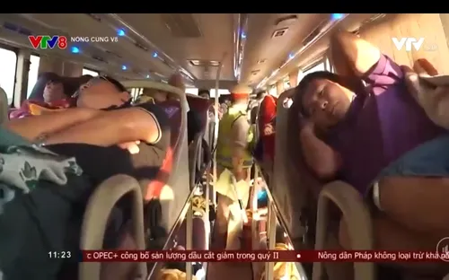 Gia tăng xe khách vi phạm Luật giao thông