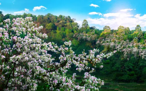 Những hoạt động đặc sắc tại Năm Du lịch Quốc gia - Điện Biên 2024