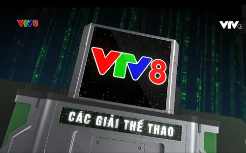 Các Giải thể thao tranh Cup VTV8 trong năm 2024 - Điểm hẹn của những người yêu thể thao toàn quốc