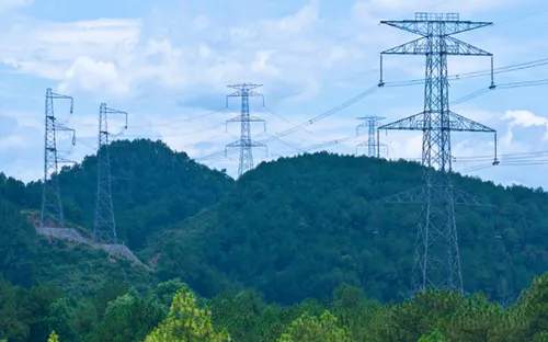 Tạm sử dụng rừng phục vụ thi công dự án lưới điện vì lợi ích quốc gia, công cộng