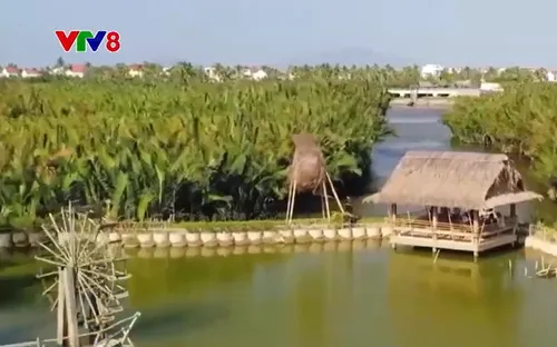 Quảng Nam tập trung phát triển du lịch xanh