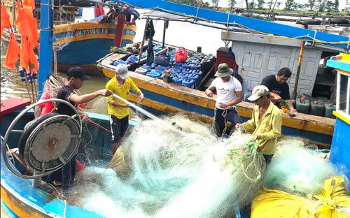 Từ 20/5, khai thác thủy sản không phép sẽ bị phạt 100 triệu đồng