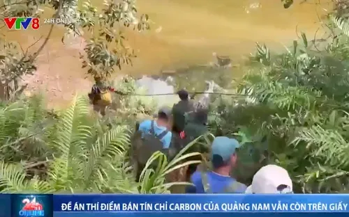 Vì sao đề án thí điểm bán tín chỉ carbon của Quảng Nam vẫn còn nằm trên giấy?