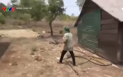 Trắng tay vì sập bẫy "việc nhẹ lương cao"