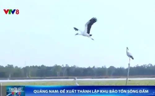 Quảng Nam đề xuất thành lập Khu bảo tồn sông Đầm