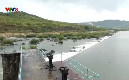 Phú Yên mở nước đập Đồng Cam sản xuất vụ Hè-Thu năm 2024