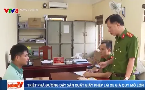 Thanh Hóa triệt phá đường dây sản xuất Giấy phép lái xe và đăng ký xe giả quy mô lớn