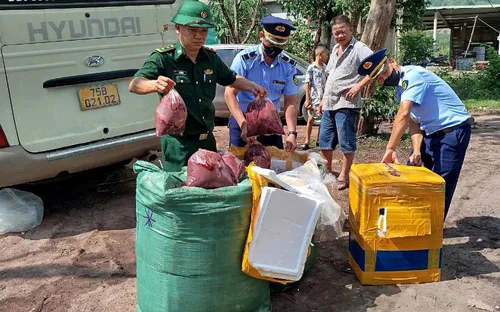 Phát hiện 350kg nội tạng không rõ nguồn gốc