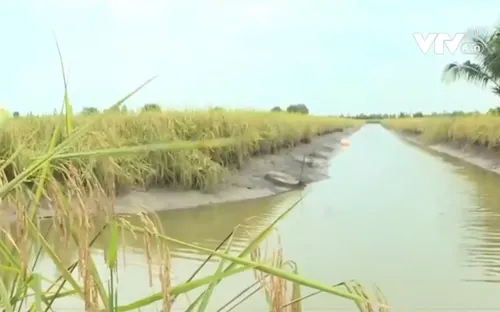 Bảo đảm an ninh nguồn nước cho Đồng bằng sông Cửu Long