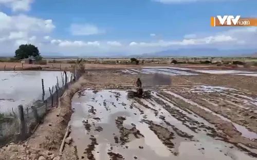 Hỗ trợ đưa nước thủy lợi về chống hạn ở Ninh Thuận