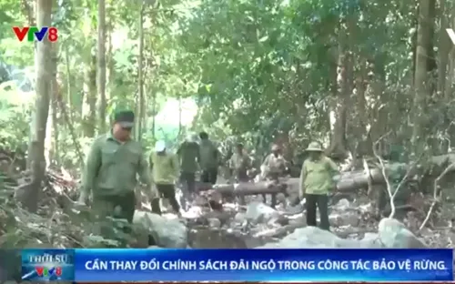 Cần thay đổi chính sách đãi ngộ trong công tác bảo vệ rừng