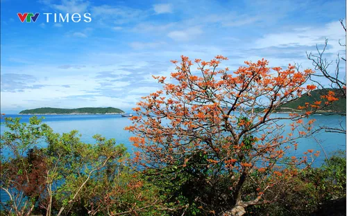 Cù Lao Chàm - Hội An kỷ niệm 15 năm được UNESCO công nhận Khu dự trữ sinh quyển thế giới