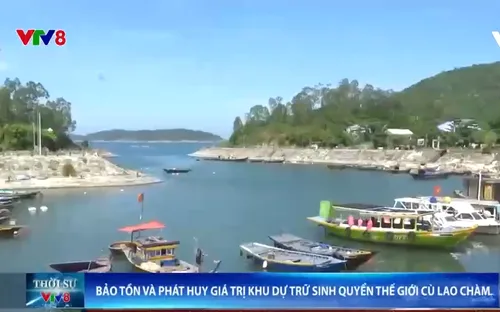 Thách thức bảo tồn đa dạng sinh học Khu Dự trữ sinh quyển thế giới Cù Lao Chàm