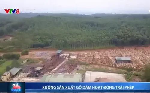 Xưởng sản xuất dăm gỗ hoạt động trái phép