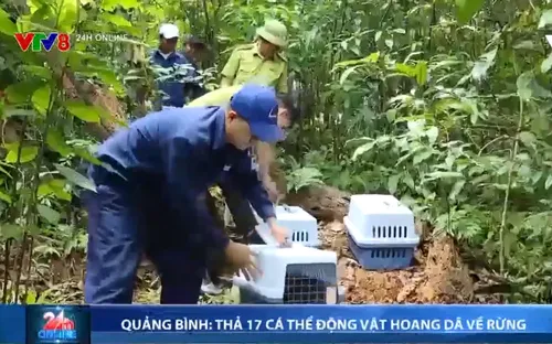 Quảng Bình thả 17 cá thể động vật hoang dã về rừng