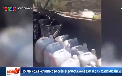 Khánh Hòa phát hiện cơ sở chế biến dầu cá không đảm bảo an toàn thực phẩm