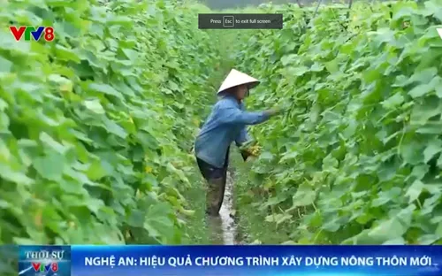 Hiệu quả từ chương trình xây dựng Nông thôn mới ở Nghệ An