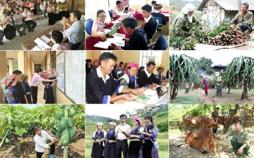 Đa dạng hóa mô hình sinh kế để giảm nghèo bền vững