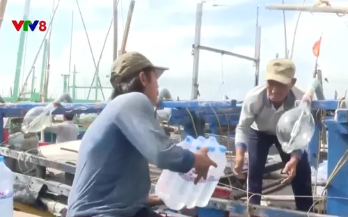 Phú Yên thực hành không rác thải tạo lối sống bền vững