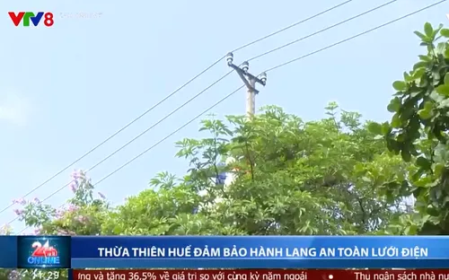 Thừa Thiên Huế đảm bảo an toàn hành lang lưới điện