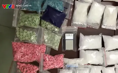 Biên phòng Đà Nẵng nỗ lực trấn áp tội phạm trong đợt cao điểm chống ma túy