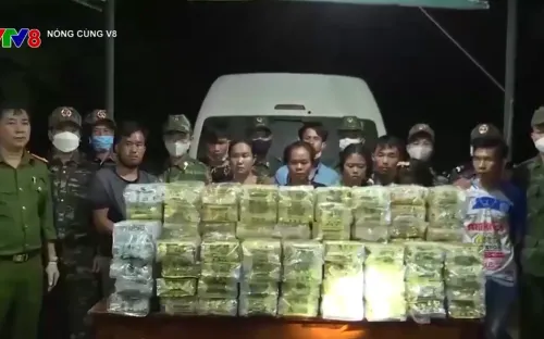 Tình trạng buôn bán, vận chuyển ma túy diễn biến ngày càng phức tạp