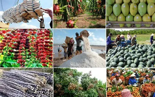 Hàng Việt đón cơ hội "vàng" khi Anh xóa 94,4% dòng thuế