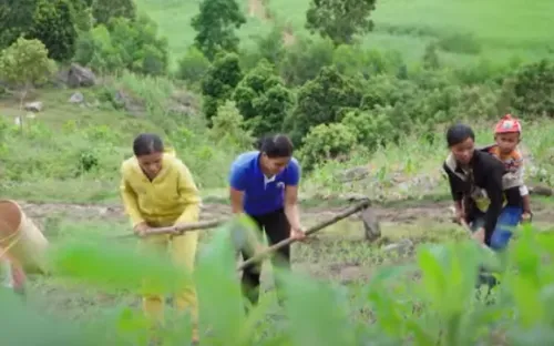 Bình yên trở lại sau 1 năm vụ tấn công khủng bố tại Đắk Lắk