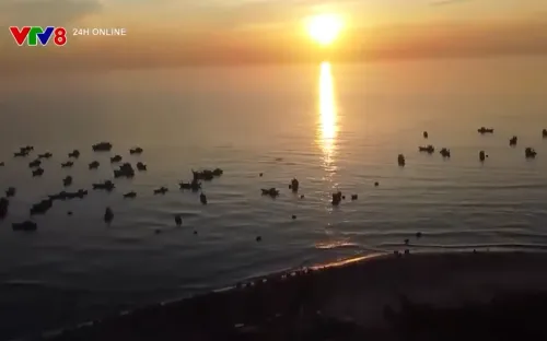 Bảo vệ môi trường, bảo vệ nguồn lợi thủy sản