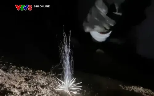 Phát hiện sinh vật lạ ở Quảng Bình