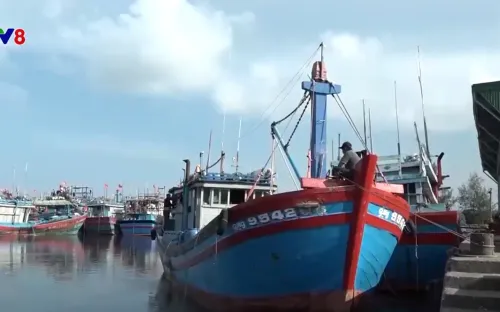 Bất cập công tác phòng cháy chữa cháy tại các cảng neo đậu