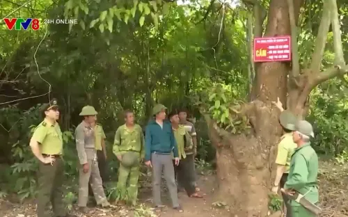 Thanh Hóa: Phòng chống cháy rừng mùa nắng nóng