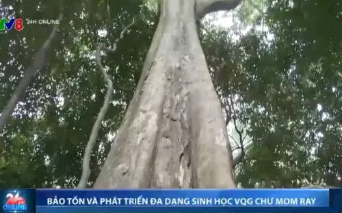 Bảo tồn và phát triển đa dang sinh học Vườn Quốc gia Chư Mom Ray