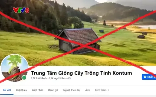 Kon Tum: Bắt giam đối tượng bán sâm Ngọc Linh giả