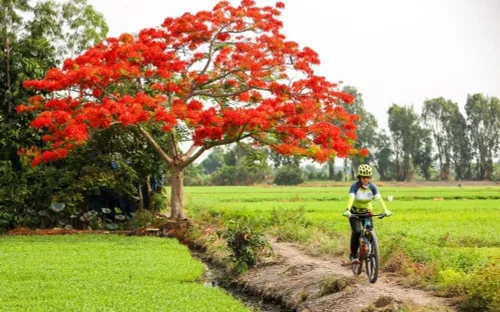 Trải nghiệm ngày hè ở nông thôn