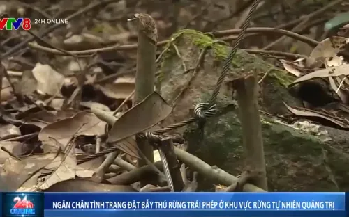 Ngăn chặn tình trạng đặt bẫy thú rừng khu vực rừng tự nhiên