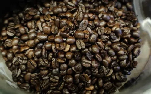 Cà phê, trứng và gạo trắng có liên quan đến mức PFAS cao hơn trong cơ thể người