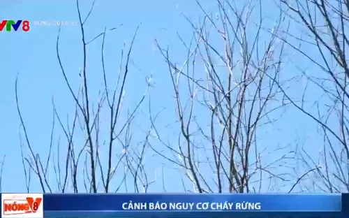 Cảnh báo nguy cơ cháy rừng