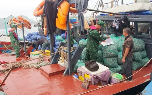 Từ 1/8, phạt nặng vi phạm khai thác thủy sản