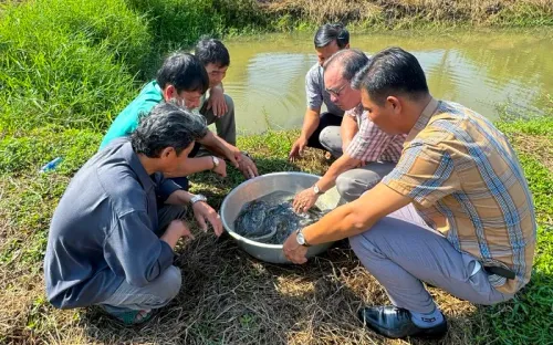 Cà Mau nâng cao ý thức bảo vệ nguồn lợi cá đồng