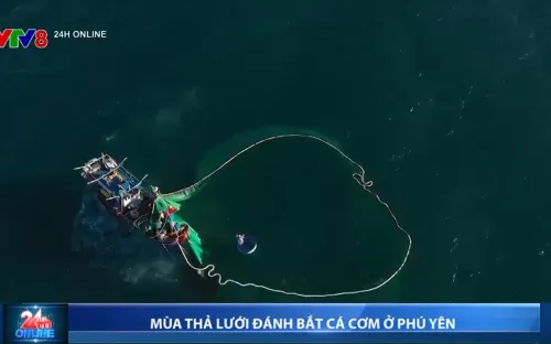 Vẻ đẹp mùa thả lưới đánh bắt cá cơm ở Phú Yên