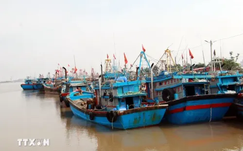 Nam Định, Thái Bình cấm biển để ứng phó bão số 2