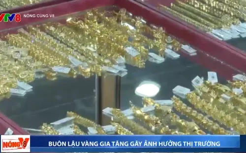 Ngăn chăn buôn lậu vàng