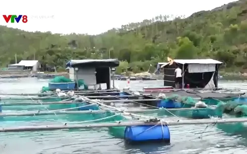 Hội thảo phát triển bền vững nghề nuôi trồng thủy sản ở Phú Yên